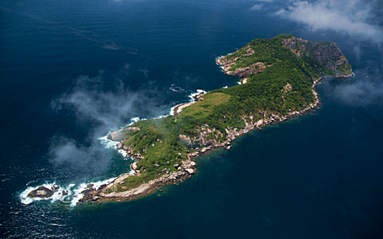 Exploring Snake Island: Unveiling the Enigma of Ilha da Queimada Grande ...