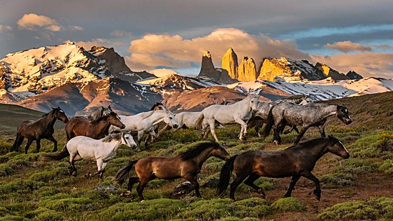 Discover Patagonia